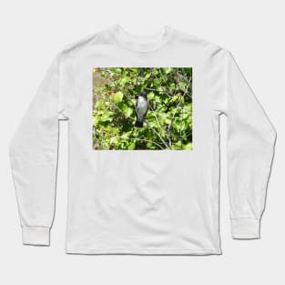 Eastern kingbird, wild birds, wildlife gifts Long Sleeve T-Shirt